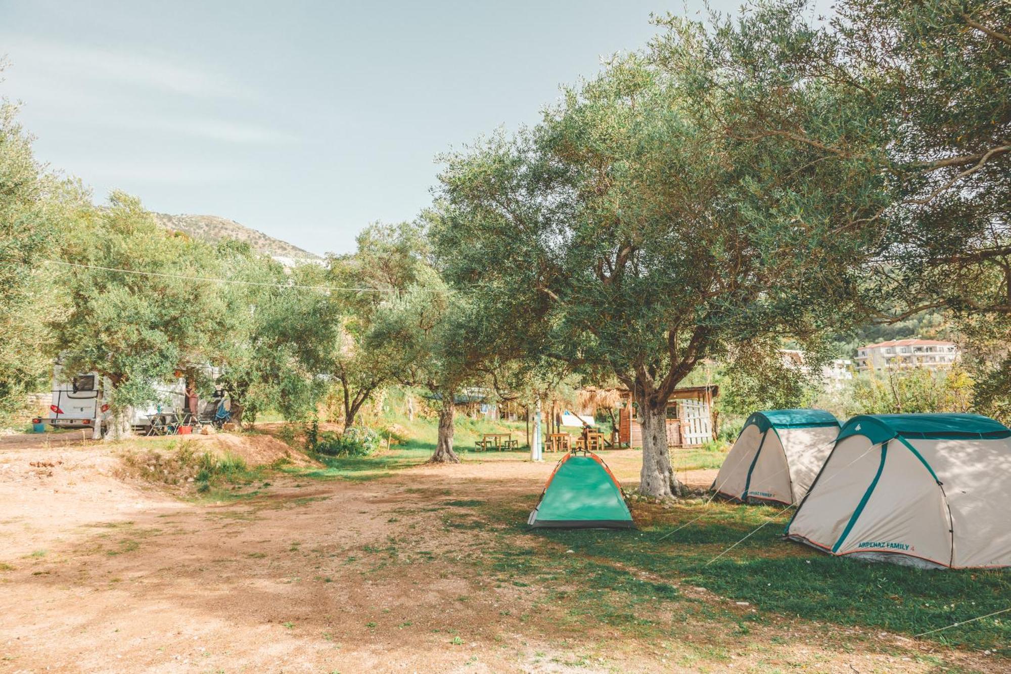 הימארה Olive Camping מראה חיצוני תמונה
