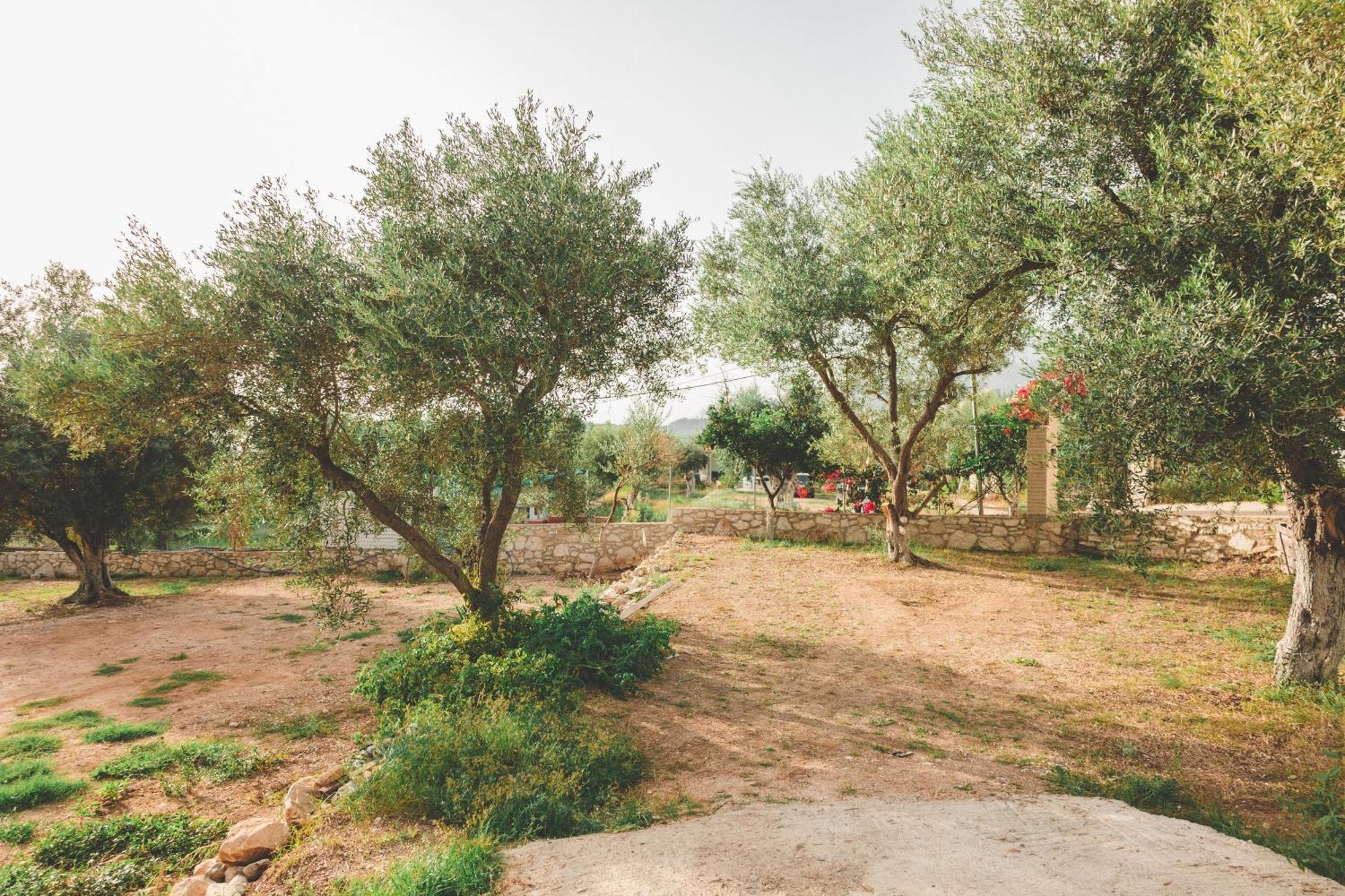 הימארה Olive Camping מראה חיצוני תמונה