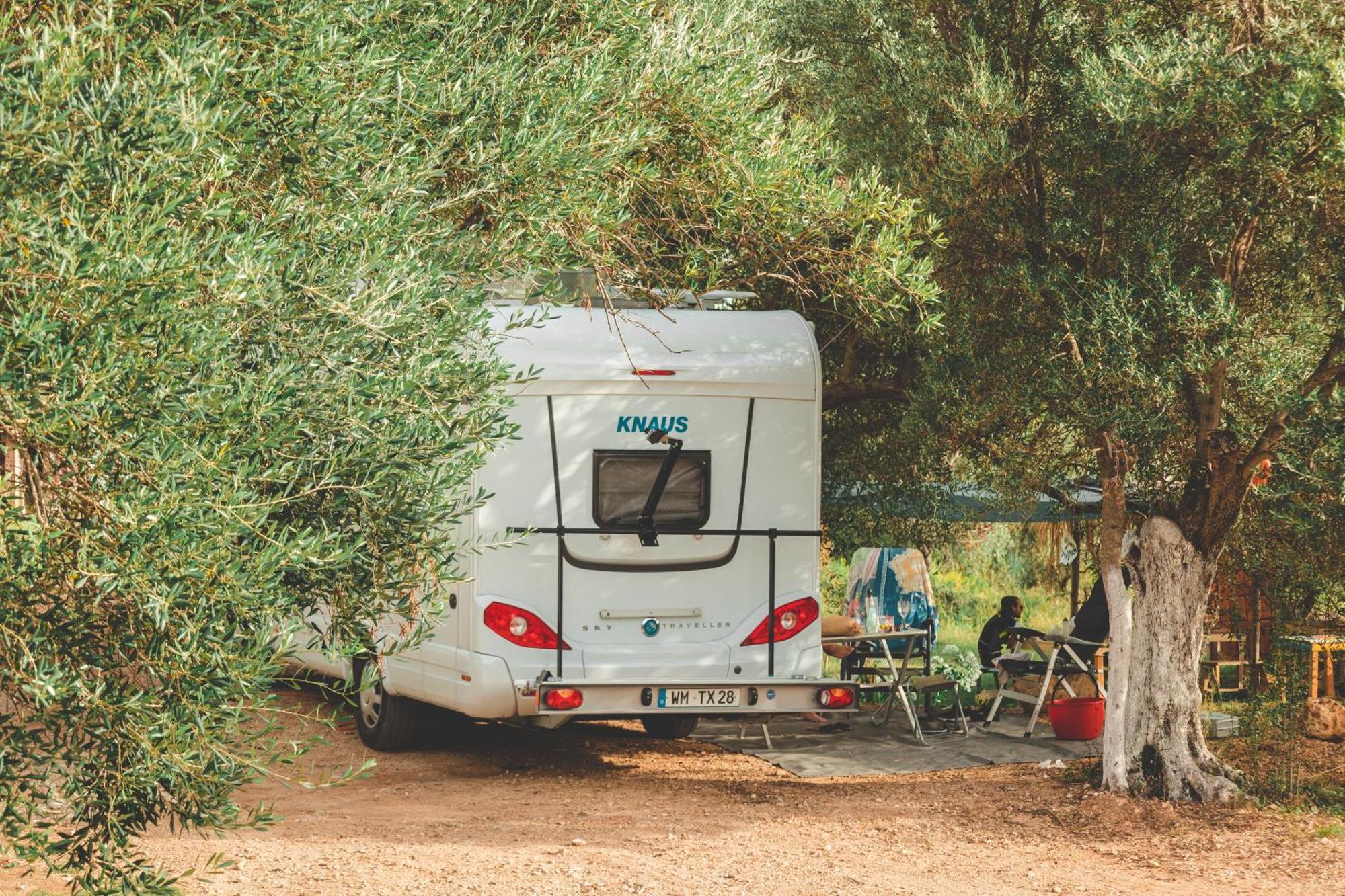 הימארה Olive Camping מראה חיצוני תמונה