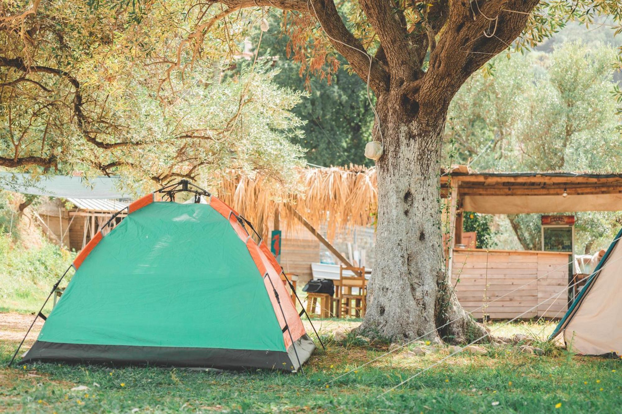הימארה Olive Camping מראה חיצוני תמונה