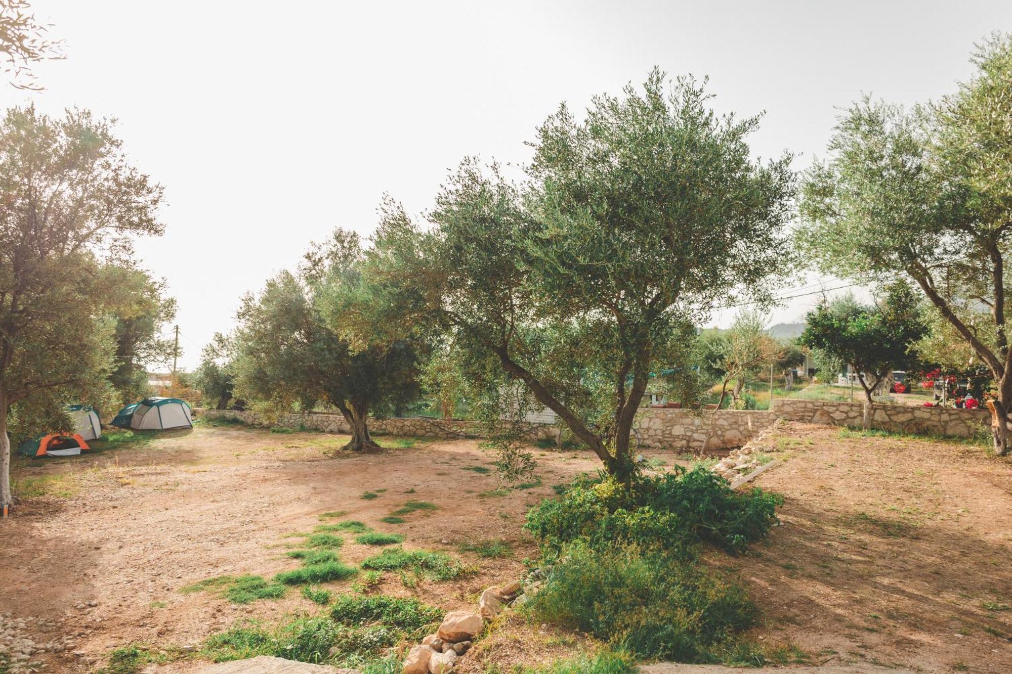 הימארה Olive Camping מראה חיצוני תמונה