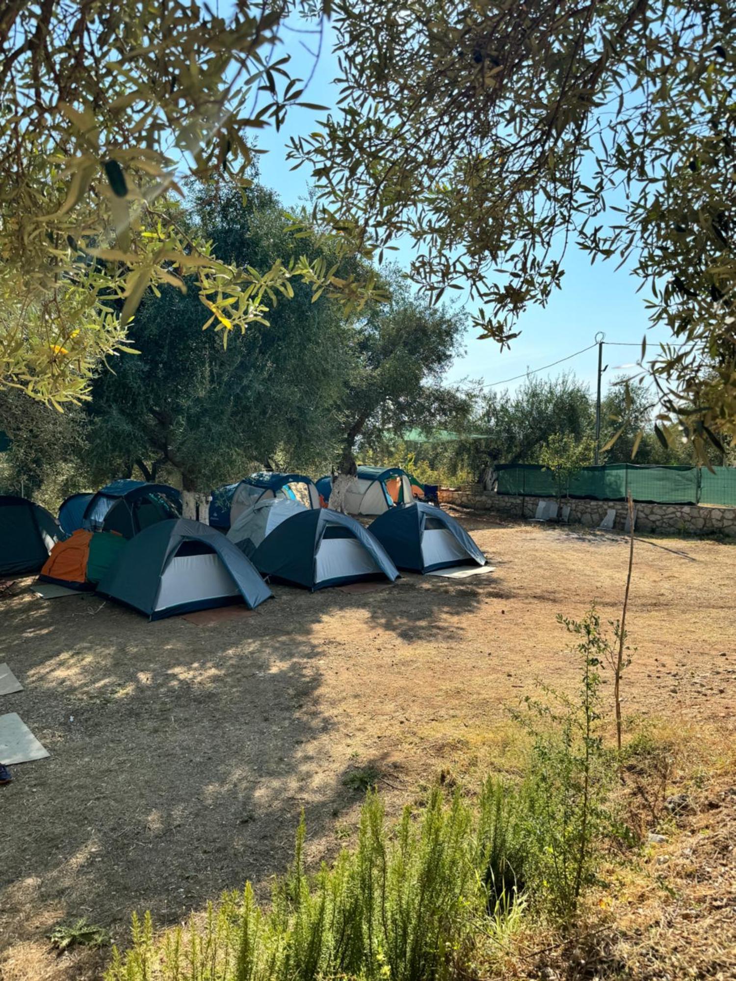 הימארה Olive Camping מראה חיצוני תמונה